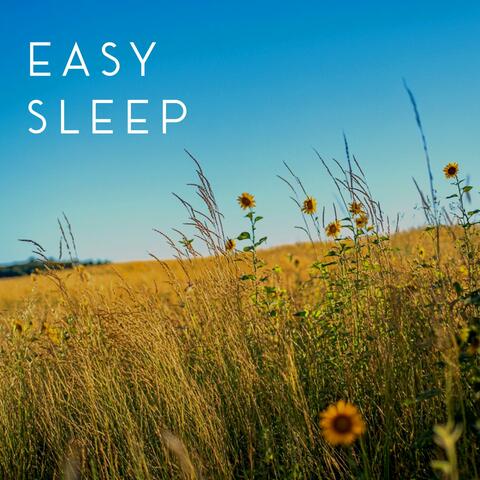 Evening Calm Reflections