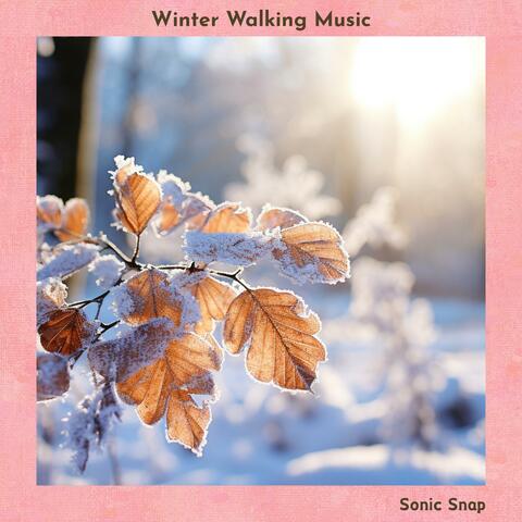 Winter Walking Music