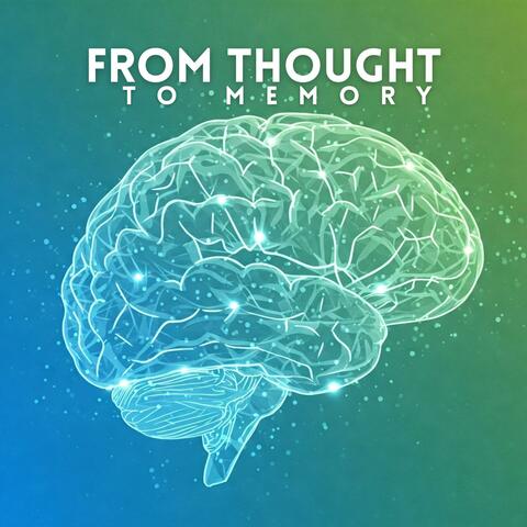 From Thought to Memory: Relaxing Concentration Music, Reading Atmosphere, Learning Motivation