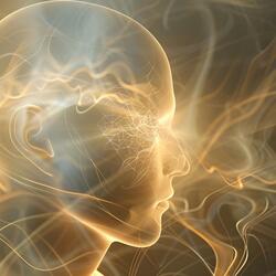 Working Memory Wellness