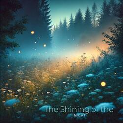 Serenade of the Stars