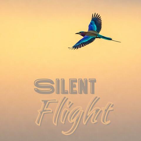 The Silent Flight of the Mornning Bird