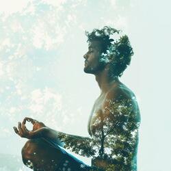 Harmonious Path