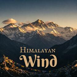 Harmonic Winds of Awakening