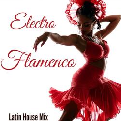 Flamenco Vibes