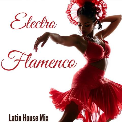 Electro Flamenco Latin Mix