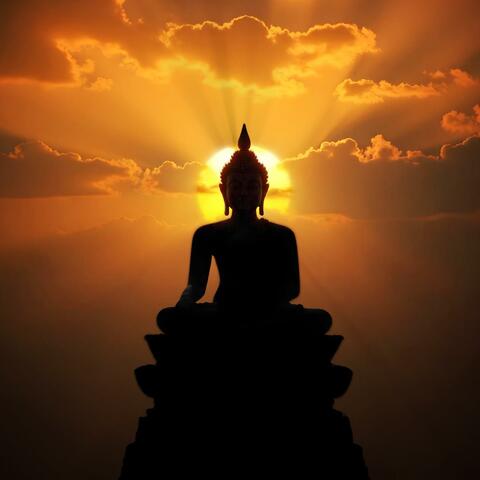 Night Folds into Kindness