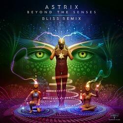 Beyond the Senses