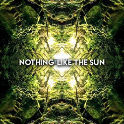 Nothing Like The Sun