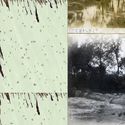 Slender Threads Soon Disappearing / The Walnut