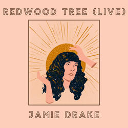 Redwood Tree