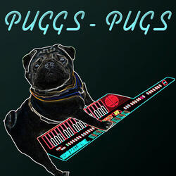 Pugs