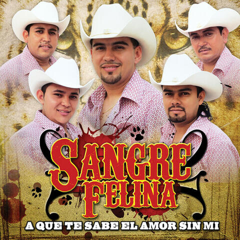 A que te sabe el amor sin mi
