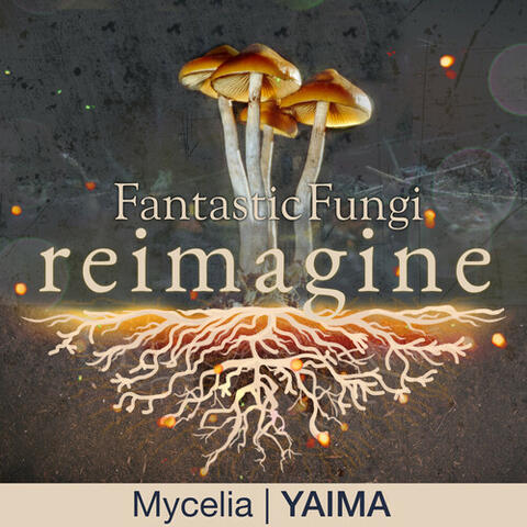 Mycelia