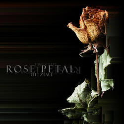Rose Petal