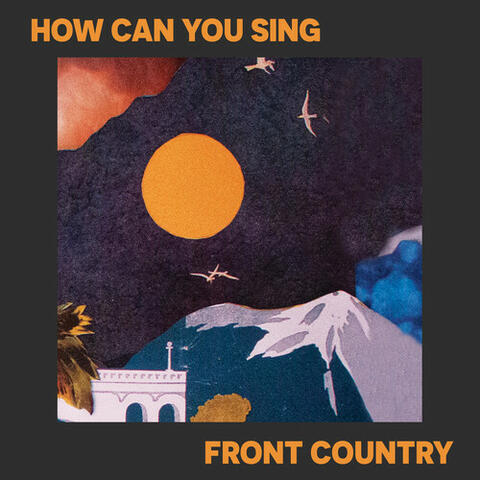 How Can You Sing