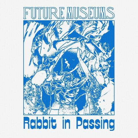 Rabbit in Passing