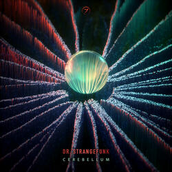 It's Not a Malfunction (Dr. Strangefunk Remix)