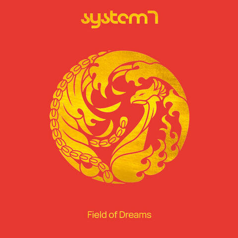System 7