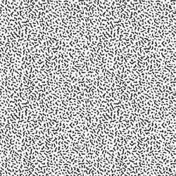 In the Second Month of the Year