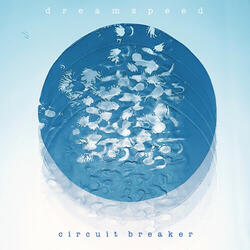 Circuit Breaker