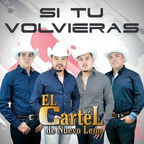Si Tú Volvieras
