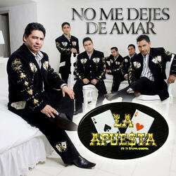 No Me Dejes De Amar