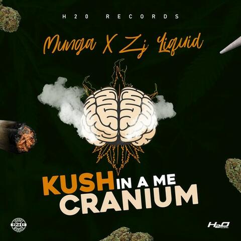 Kush in a Me Cranium