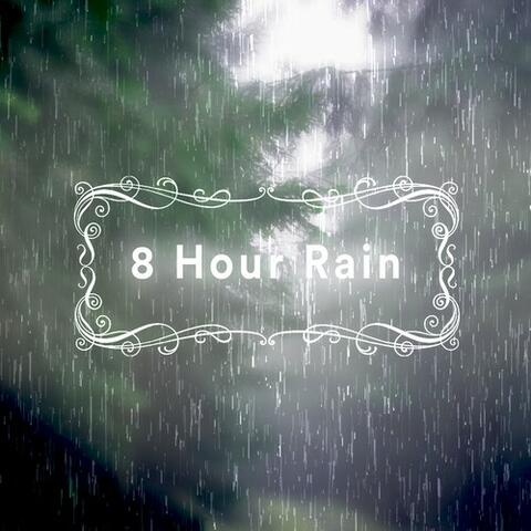 8 Hour Rain