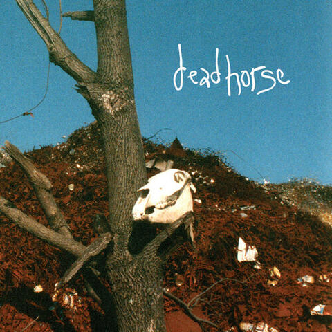Horsecore: An Unrelated Story That’s Time Consuming