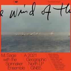 Spinnaker on a Southerly
