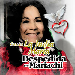Ave María