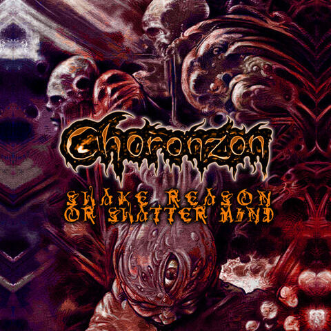 Shake Reason Or Shatter Mind
