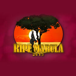 Ripe Marula 2015