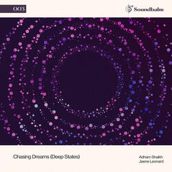 Chasing Dreams (Deep States), Pt. 3