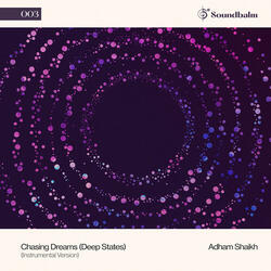 Chasing Dreams (Deep States), Pt. 5