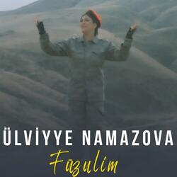 Füzulim