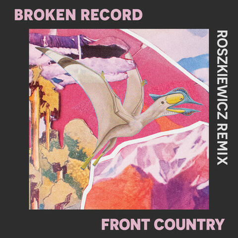 Broken Record