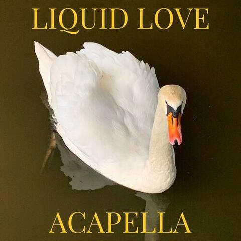 Liquid Love