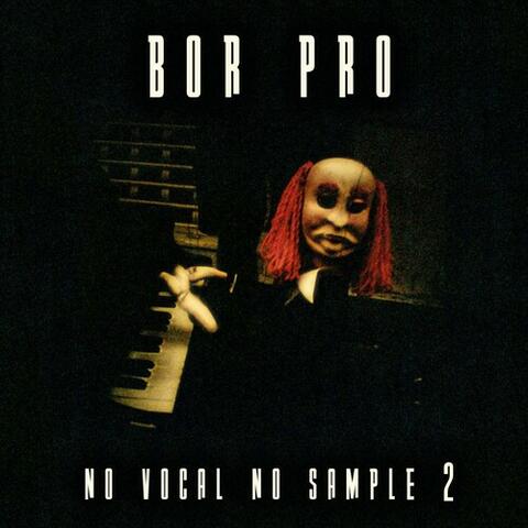 No Vocal No Sample (2)