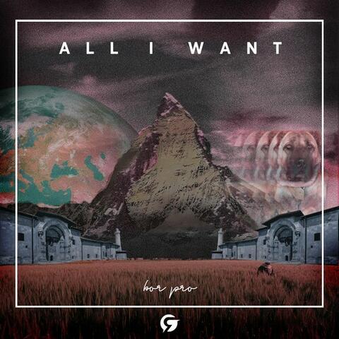 All I Want