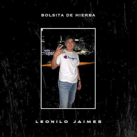 Bolsita de Hierba