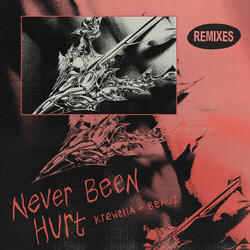Never Been Hurt