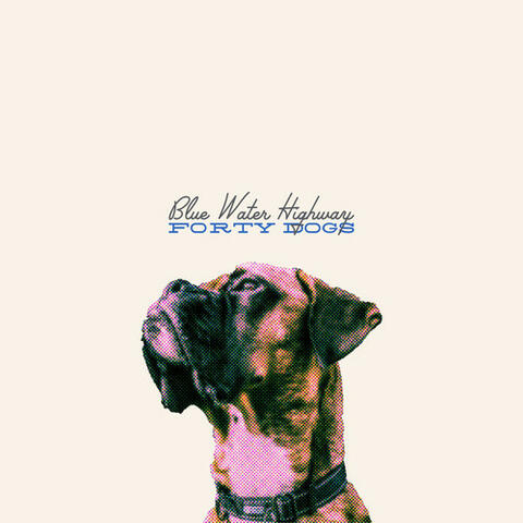 40 Dogs