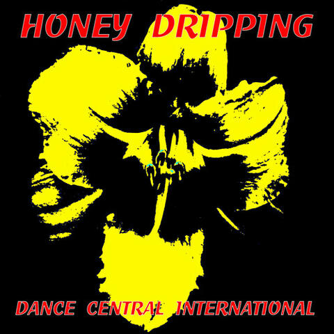 Honey Dripping