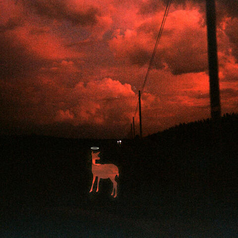 Darkness On The Edge Of The Parking Lot