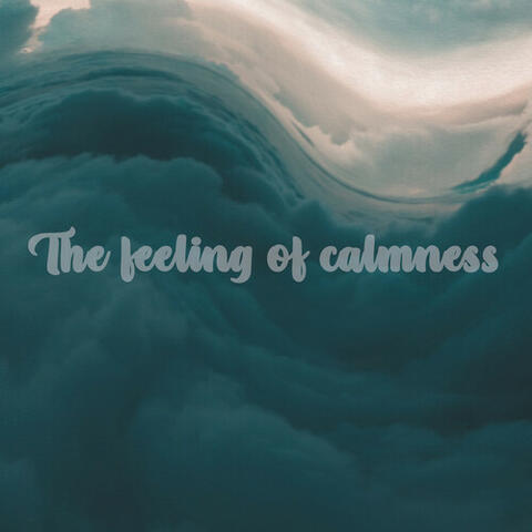 The Feeling of Calmness