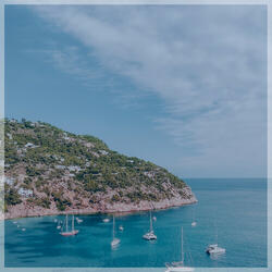 I Took a Pill in Ibiza