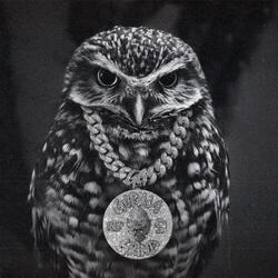 OVO