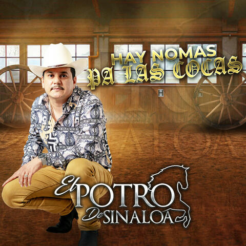 del potro de sinaloa corridos